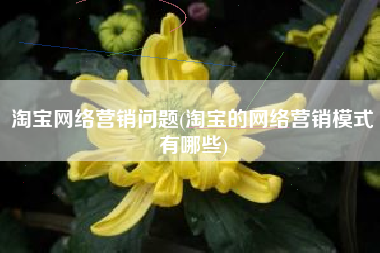 淘宝网络营销问题(淘宝的网络营销模式有哪些)