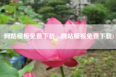 网站模板免费下载(ss网站模板免费下载)