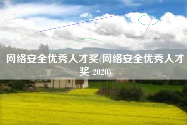 网络安全优秀人才奖(网络安全优秀人才奖 2020)