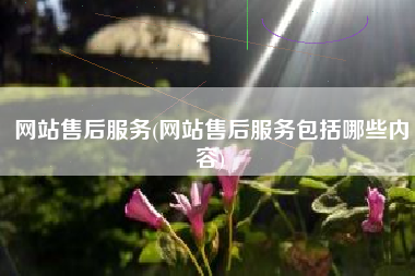 网站售后服务(网站售后服务包括哪些内容)