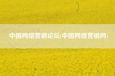 中国网络营销论坛(中国网络营销网)