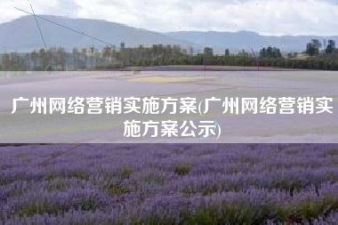 广州网络营销实施方案(广州网络营销实施方案公示)