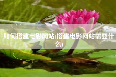 如何搭建电影网站(搭建电影网站需要什么)
