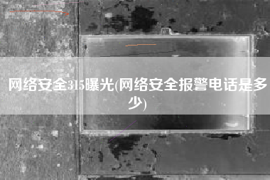 网络安全315曝光(网络安全报警电话是多少)