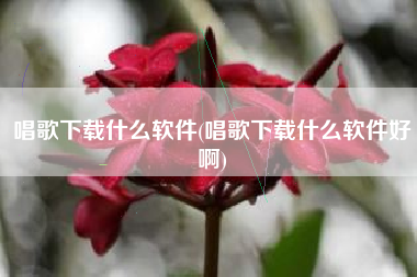 唱歌下载什么软件(唱歌下载什么软件好啊)