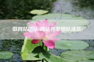 做网站团队(网站开发团队成员)