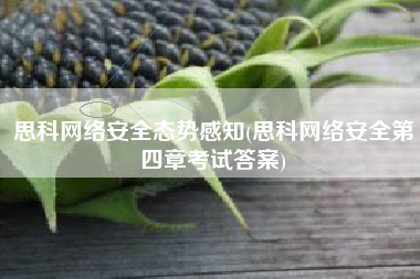思科网络安全态势感知(思科网络安全第四章考试答案)