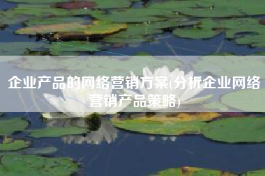 企业产品的网络营销方案(分析企业网络营销产品策略)