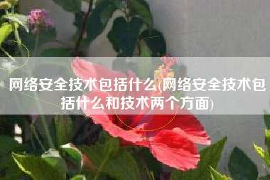 网络安全技术包括什么(网络安全技术包括什么和技术两个方面)
