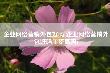企业网络营销外包好吗(企业网络营销外包好吗工资高吗)
