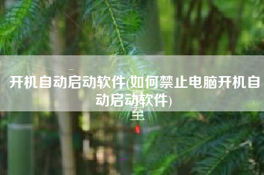 开机自动启动软件(如何禁止电脑开机自动启动软件)