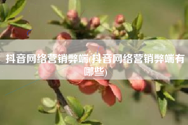 抖音网络营销弊端(抖音网络营销弊端有哪些)
