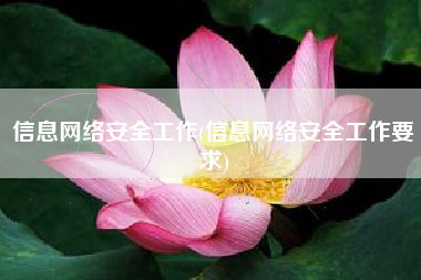 信息网络安全工作(信息网络安全工作要求)