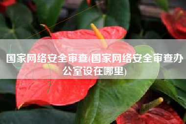 国家网络安全审查(国家网络安全审查办公室设在哪里)