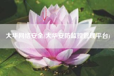 大华网络安全(大华安防监控管理平台)