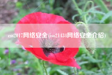 css2017网络安全(iso21434网络安全介绍)