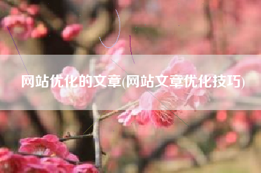 网站优化的文章(网站文章优化技巧)