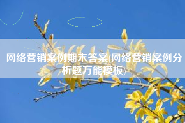 网络营销案例期末答案(网络营销案例分析题万能模板)