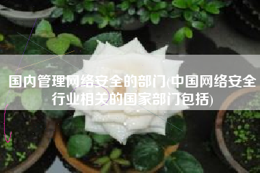国内管理网络安全的部门(中国网络安全行业相关的国家部门包括)