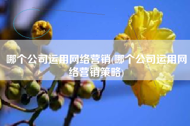 哪个公司运用网络营销(哪个公司运用网络营销策略)
