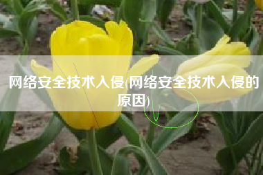 网络安全技术入侵(网络安全技术入侵的原因)
