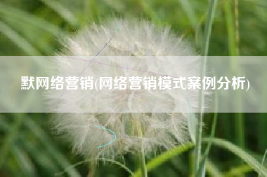 默网络营销(网络营销模式案例分析)
