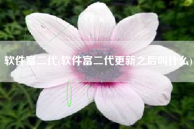 软件富二代(软件富二代更新之后叫什么)