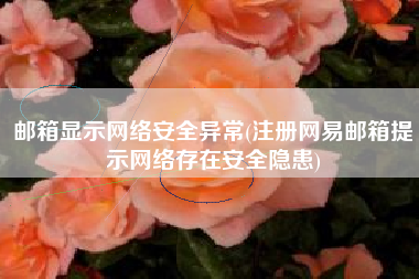 邮箱显示网络安全异常(注册网易邮箱提示网络存在安全隐患)