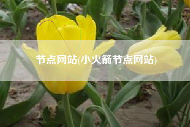 节点网站(小火箭节点网站)