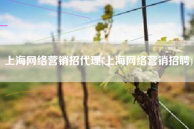 上海网络营销招代理(上海网络营销招聘)