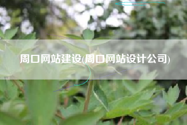 周口网站建设(周口网站设计公司)