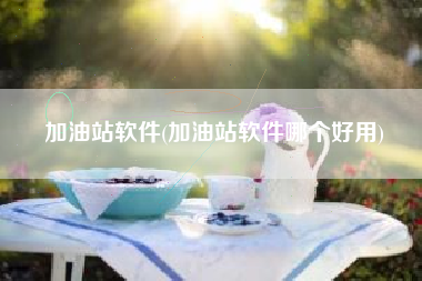 加油站软件(加油站软件哪个好用)