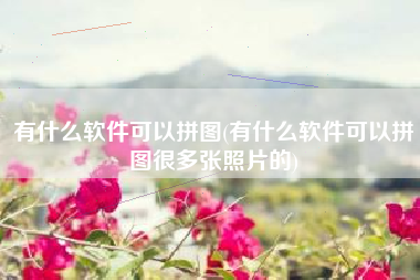 有什么软件可以拼图(有什么软件可以拼图很多张照片的)