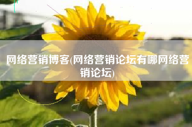 网络营销博客(网络营销论坛有哪网络营销论坛)