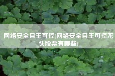 网络安全自主可控(网络安全自主可控龙头股票有哪些)