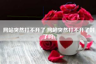 网站突然打不开了(网站突然打不开了封了吗)