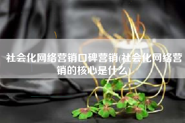 社会化网络营销口碑营销(社会化网络营销的核心是什么)