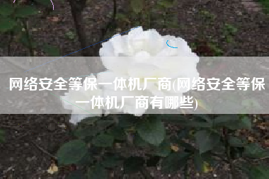 网络安全等保一体机厂商(网络安全等保一体机厂商有哪些)