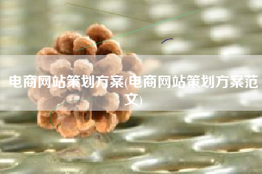 电商网站策划方案(电商网站策划方案范文)