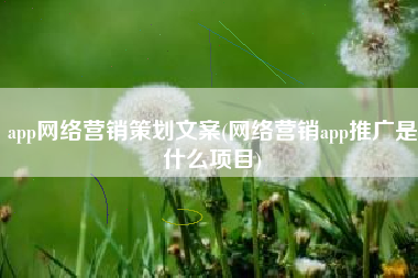 app网络营销策划文案(网络营销app推广是什么项目)