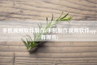 手机视频软件制作(手机制作视频软件app有哪些)