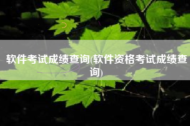 软件考试成绩查询(软件资格考试成绩查询)