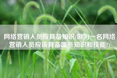 网络营销人员应具备知识(做为一名网络营销人员应该具备哪些知识和技能?)