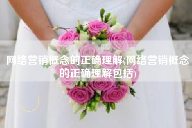 网络营销概念的正确理解(网络营销概念的正确理解包括)