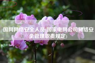 国网网络安全人员(国家电网公司网络安全管理职责规定)