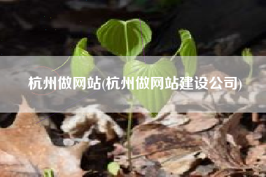 杭州做网站(杭州做网站建设公司)