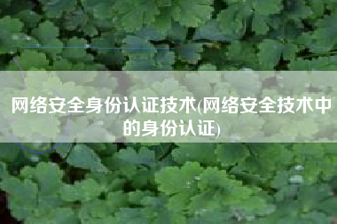 网络安全身份认证技术(网络安全技术中的身份认证)