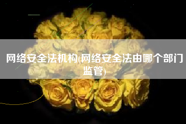 网络安全法机构(网络安全法由哪个部门监管)