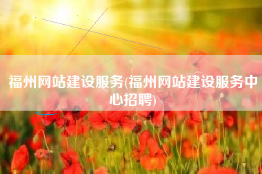 福州网站建设服务(福州网站建设服务中心招聘)