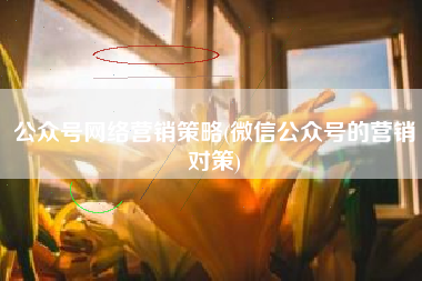 公众号网络营销策略(微信公众号的营销对策)